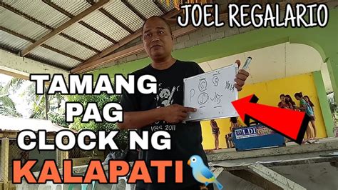 pilipinas kalapati clocking|TAMANG PAG CLOCK NG KALAPATI DURING RACES.